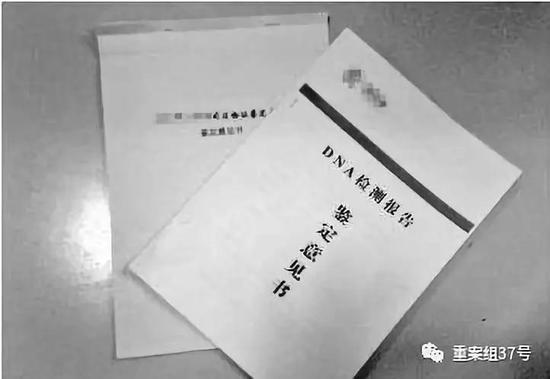 ▲亲子鉴定意见书(样本)。 资料图片