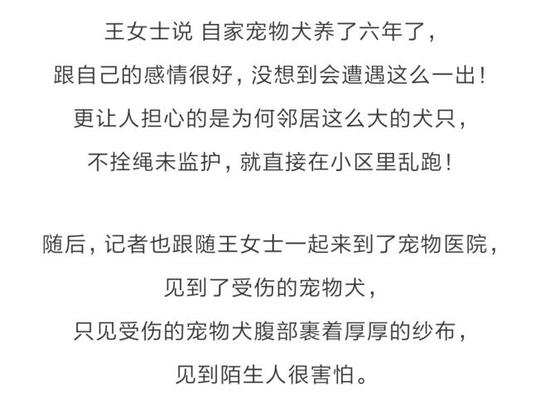视频截图