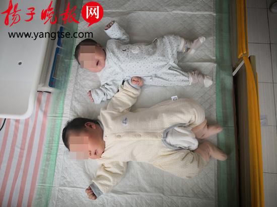 与普通婴儿相比,壮壮(左)明显大出一截。 刘威 摄