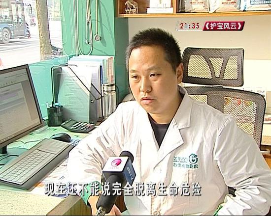 视频截图