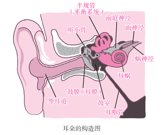 急性中耳炎_健康