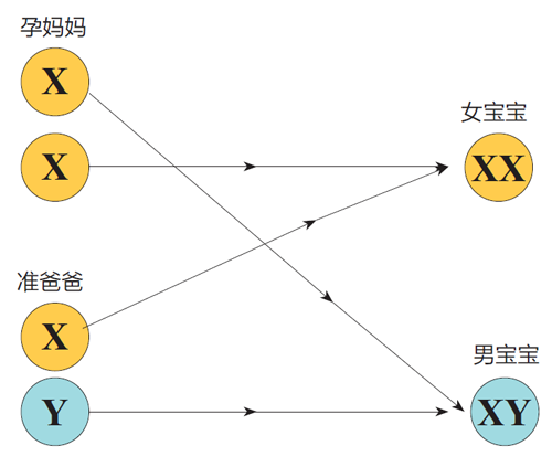 孩子性别