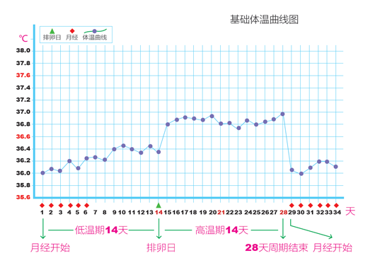 基础体温曲线图