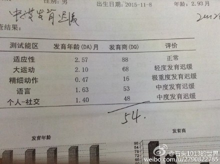 孩子中度发育迟缓以后影响大吗?_问答