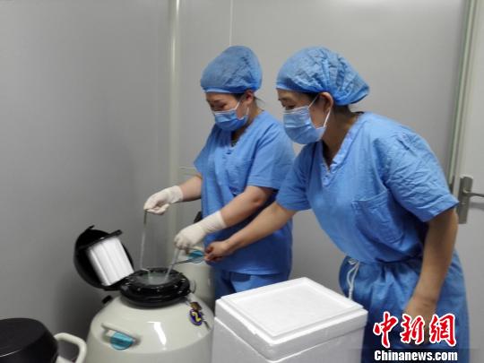 8日下午,记者探访山西省人口计生委科学研究所,观看了试管婴儿技术的全过程。图为医生们将胚胎放入零下196摄氏度的透明液氮中。 李娜 摄