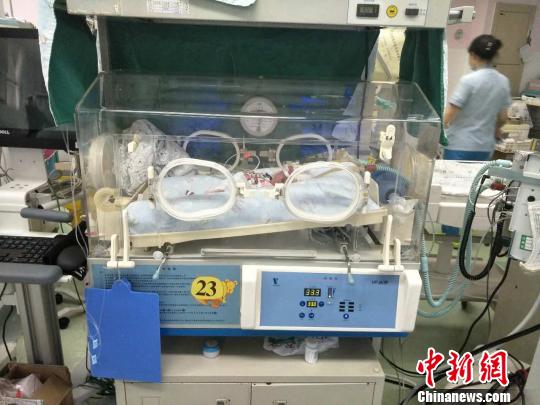 图为新生的双胞胎宝宝在保温箱里接受治疗。 重庆红会供图 摄