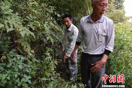 图为村民指向小云凯找到的地方。 王发祥 摄