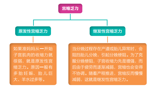 影响顺产的4大因素|产力|产道|胎位