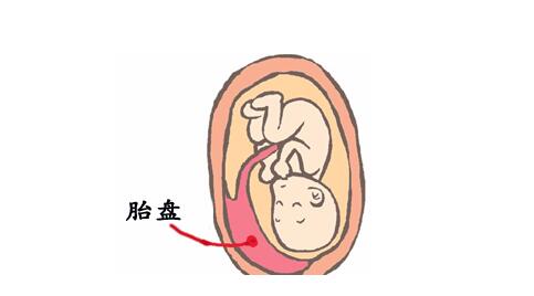 吃胎盘能大补？本宝宝差点就信了