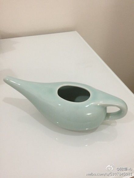 陈婷分享洗鼻利器