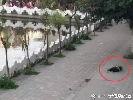 泸州中学生坠亡事件