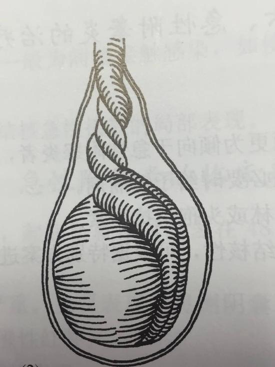 网络配图