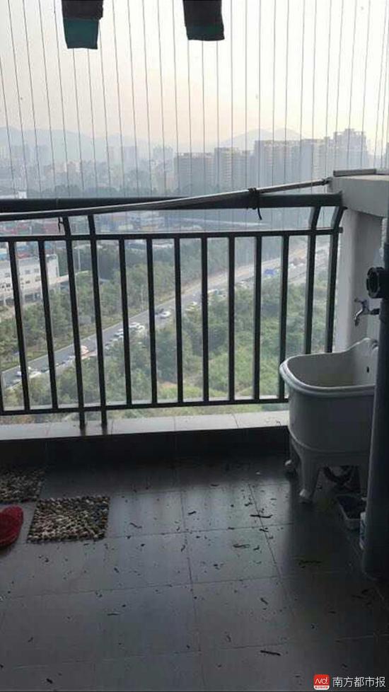 黉舍用地闲置成菜地