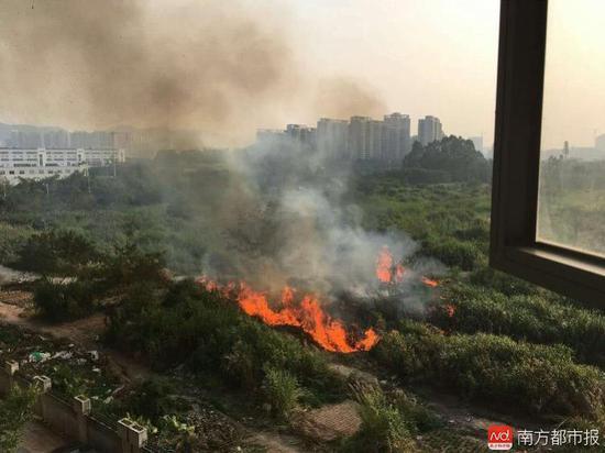 黉舍用地闲置成菜地
