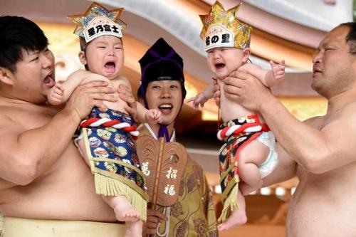 “宝宝哭”相扑比赛现场。