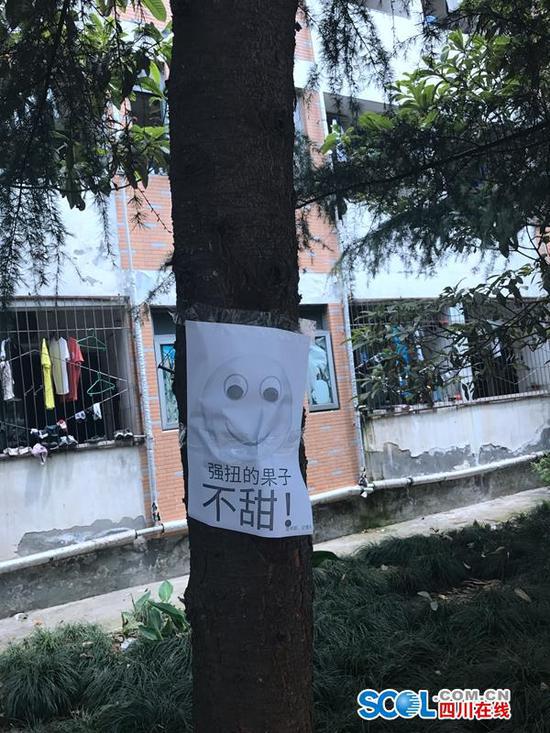 为防学生摘不雅子挂搞笑标语