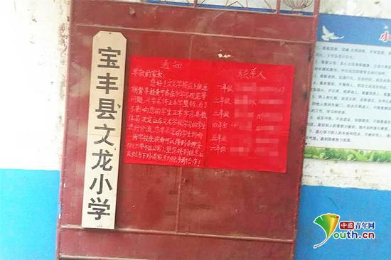 河南省宝丰县教导局对当事文龙小学宣布停止办学进行整顿的通知。