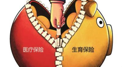 收集配图