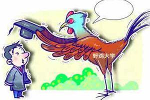 印度留学生：想追寻“美国梦” 却遭美国“钓鱼执法