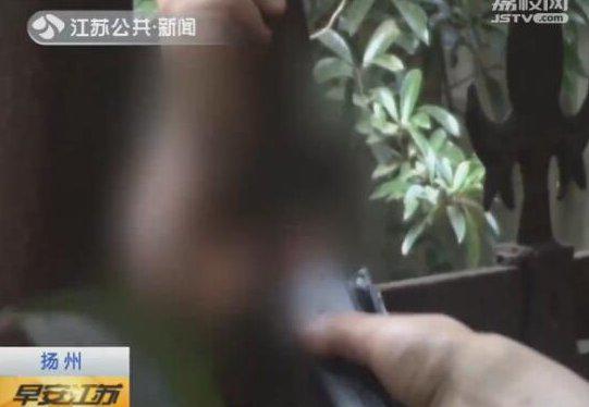 视频截图