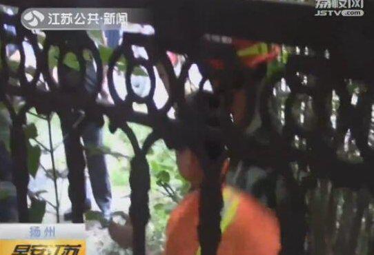视频截图