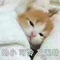 神情图