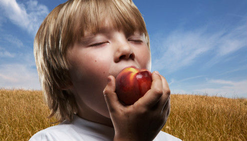 水果催熟剂 会催孩子早熟吗?