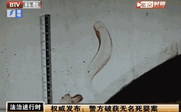 视频截图