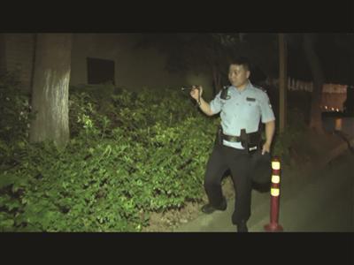 警察帮助在灌木丛里找钱。