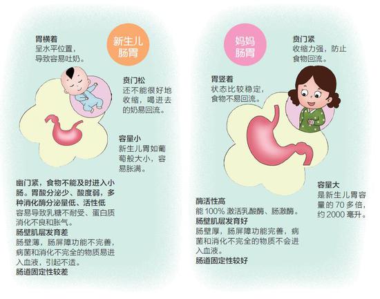 新生儿和成人肠胃有区别