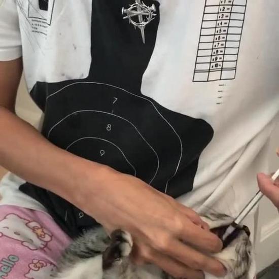 张柏芝给猫喂药不测发明儿子涂粉红甲油