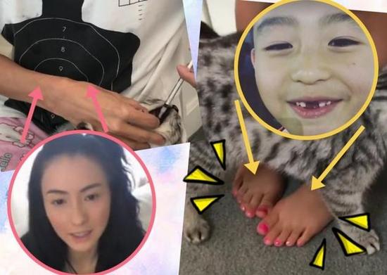 张柏芝给猫喂药不测发明儿子涂粉红甲油