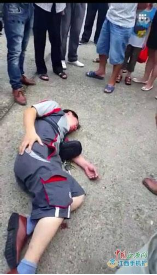 视频截图