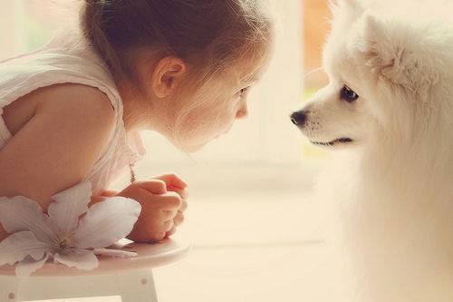 孩子不说话 别以为是贵人语迟