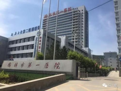 恋人节时，马茸茸收到潦攀来自丈夫表示爱意的红包