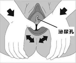 澎湃新闻 郁斐 制图