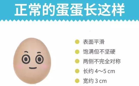 材料图