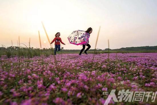 江西鄱阳湖都昌湿地花海，两个小女孩开心地玩耍