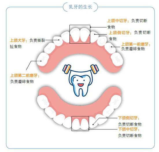 图为：图书插图