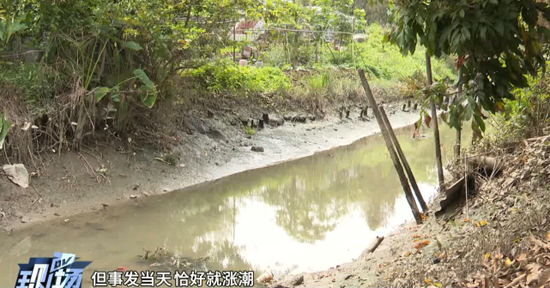 视频截图