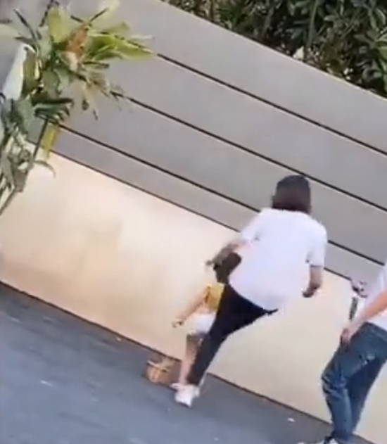 视频截图