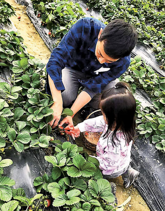 梁竞徽带女儿到郊外活动。