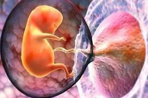 什么是帆状胎盘，孕妈妈你知道吗？