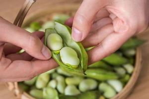  Is it true that you can't eat broad beans before you are 8 years old?