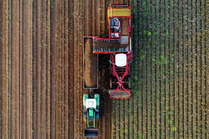 出生在城市里的孩子们如何了解真实的现代农业？