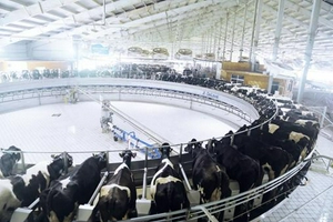 认养一头牛完成B轮融资 美团龙珠参与领投