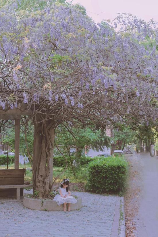 ☆她叫张小彤,拍摄时3岁,
焦距:50mm,光圈:f/4,
快门速度:1/80s,感光度:ISO250