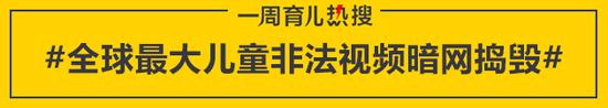 全球最大儿童非法视频暗网捣毁