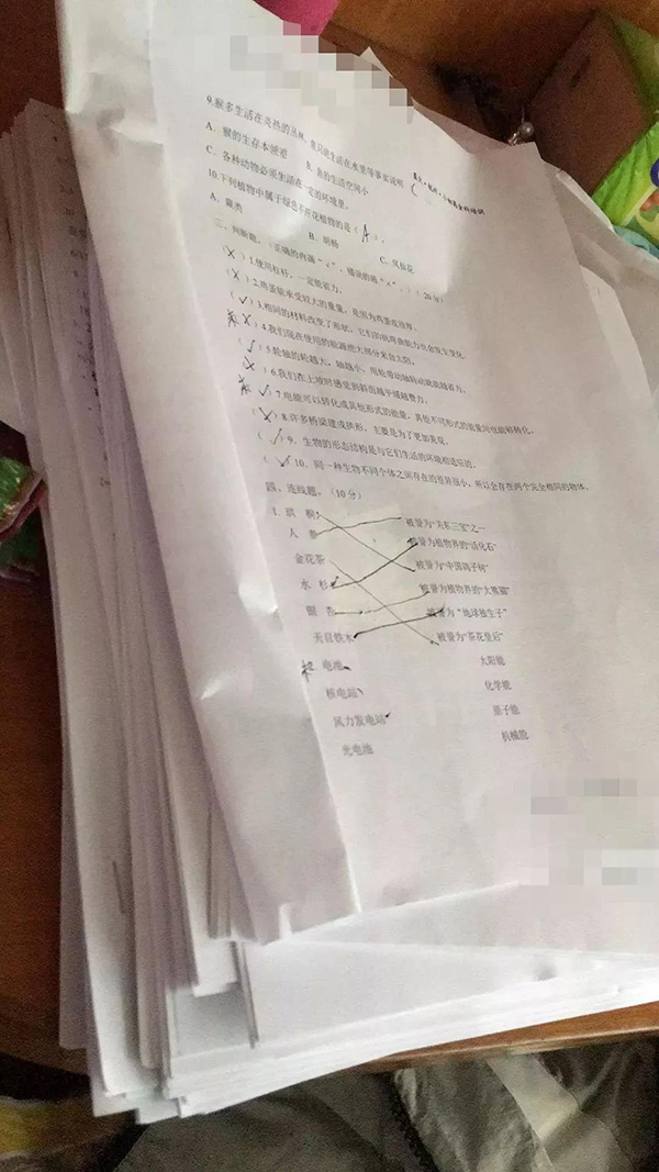 小杨在一所知名公办小学读书，每晚作业不算多，差不多八九点完成。