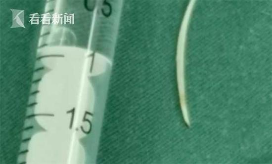 视频截图